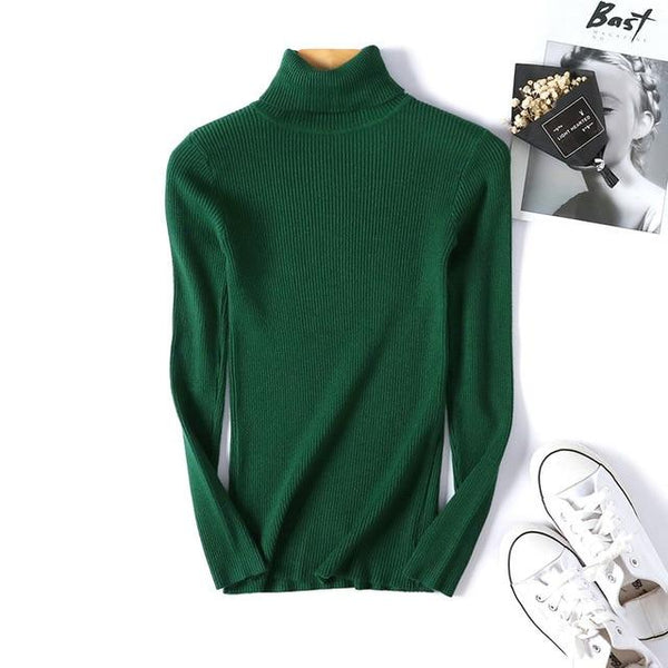 Dixie - Turtle Neck Ribbed Sweater