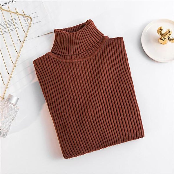 Dixie - Turtle Neck Ribbed Sweater