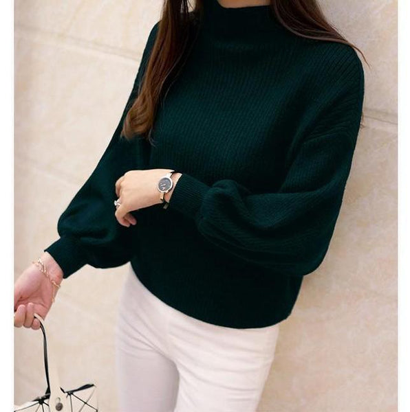 Turtle Neck Batwing Knitted Loose Sweater