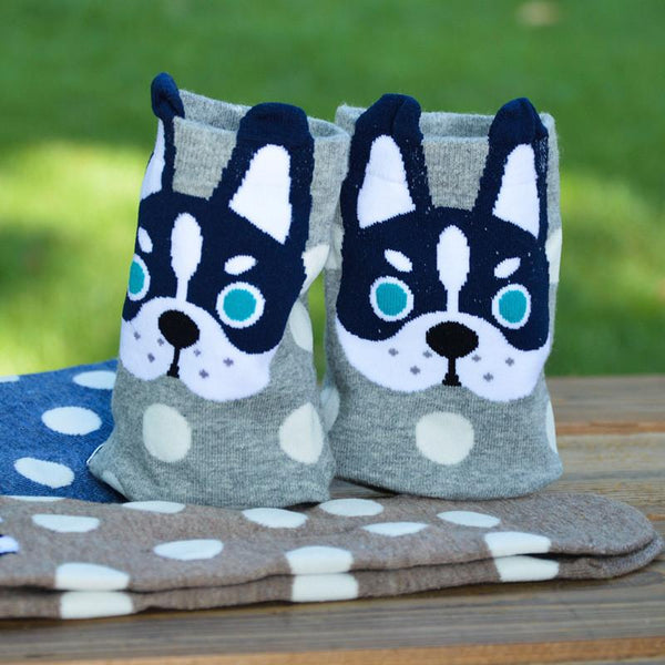 Polka-dot Dog Socks