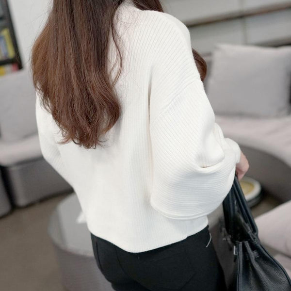 Turtle Neck Batwing Knitted Loose Sweater